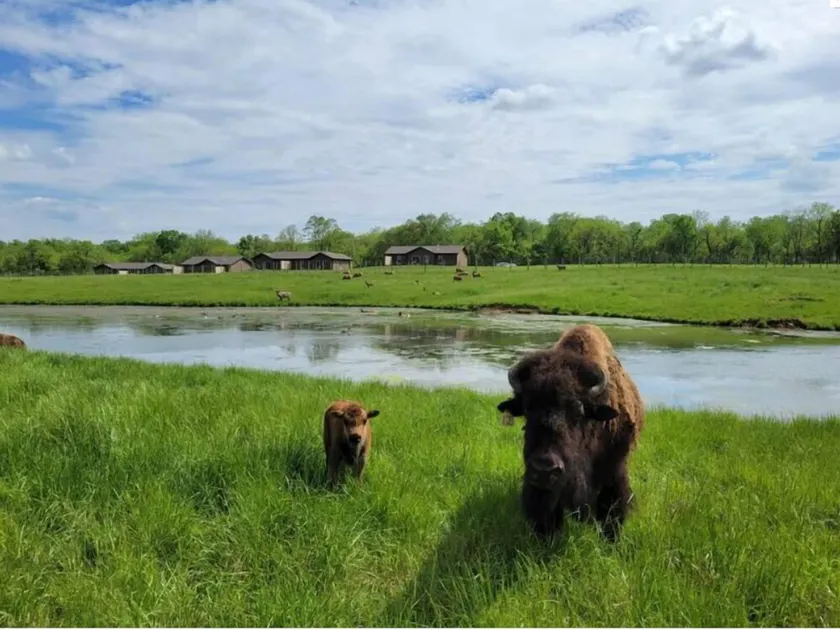 Wildlife Prairie Park - Image 1