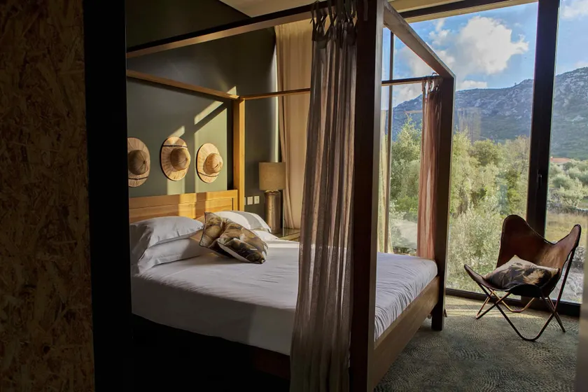 Cooking and Nature - Emotional Hotel - Image 1