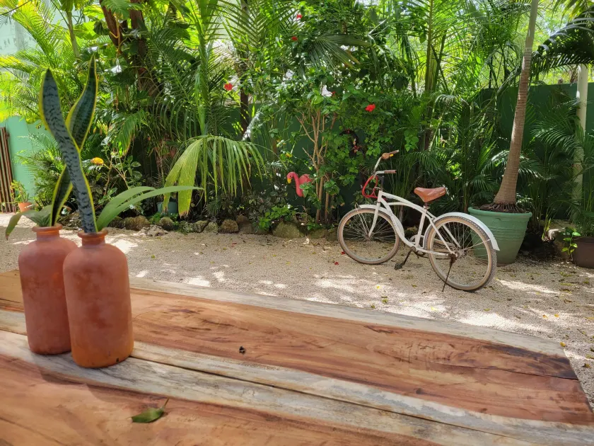 The Secret Garden Tulum - Image 1
