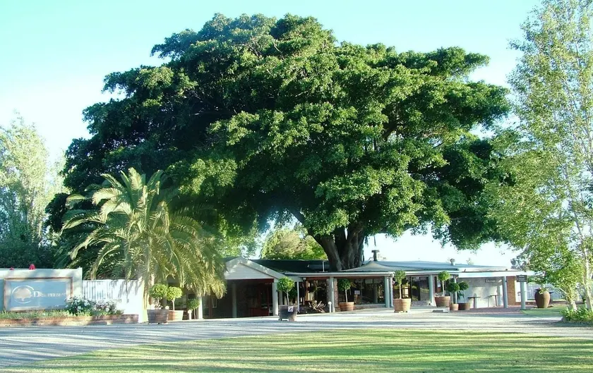Damas Guest Farm - Image 1