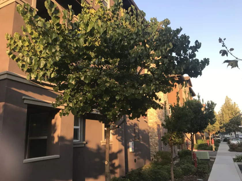Shared Private Home at Santana Row - Image 1
