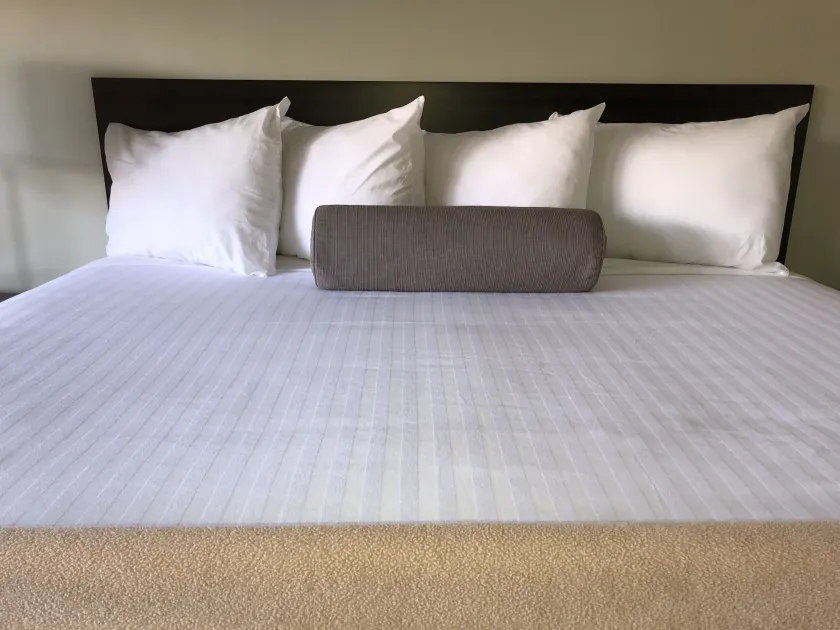 Hotel Elevation - Chambre