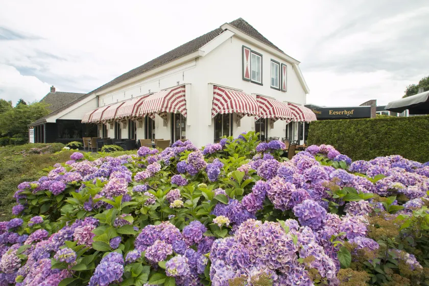 Hotel Restaurant Eeserhof - Image 1