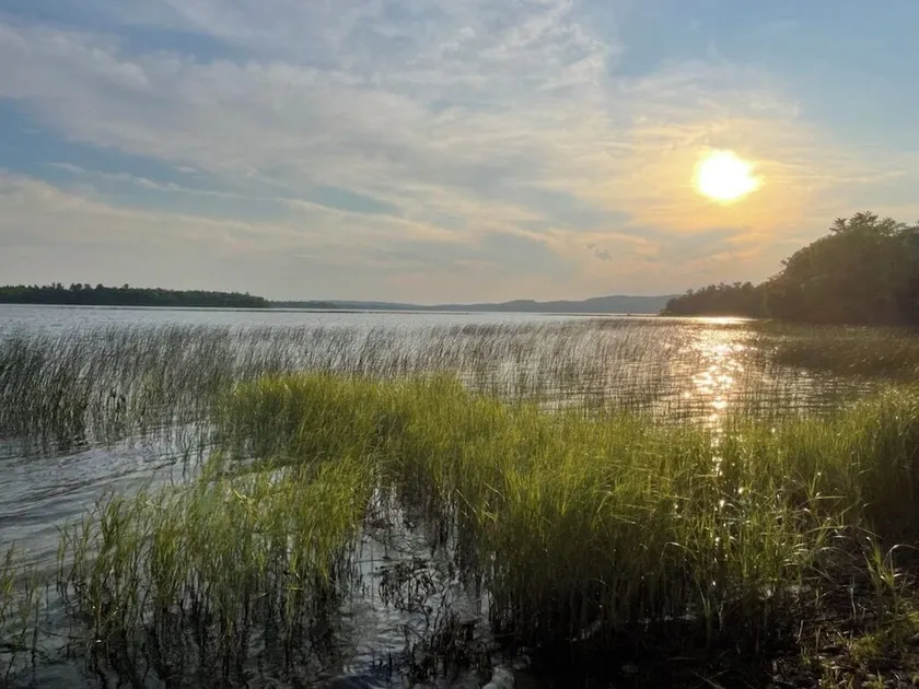 Waterfront 'wildflower Cottage' w/ Private Dock! - Image 1