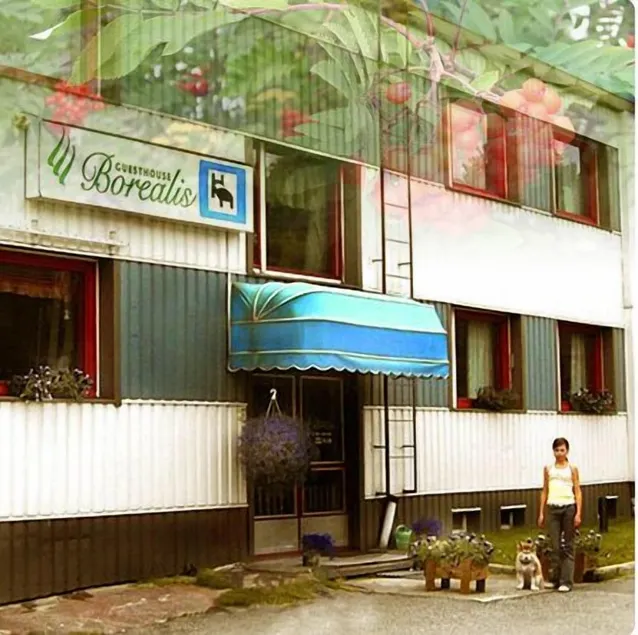 Guesthouse Borealis Apartments - Interior entrance