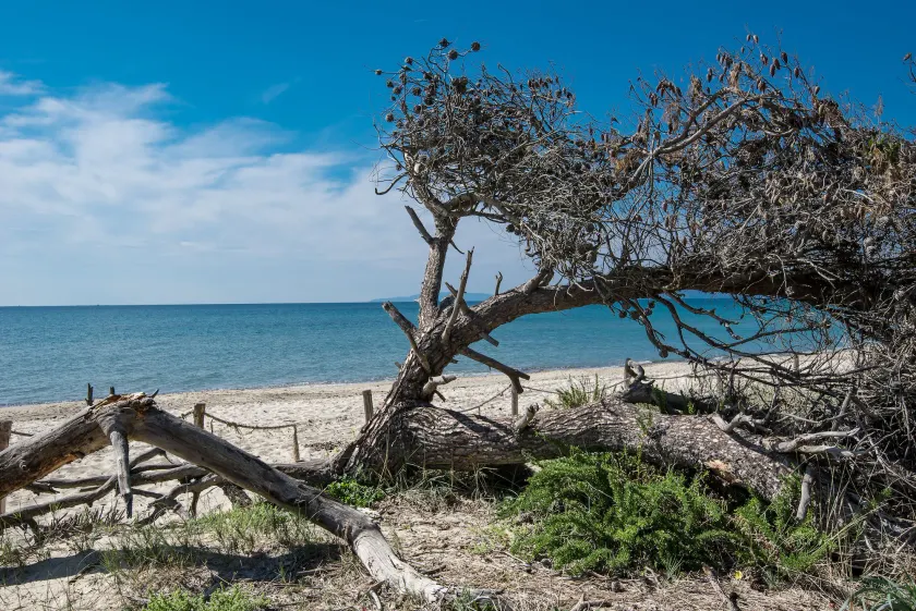 Villaggio Mare Verde - Image 1