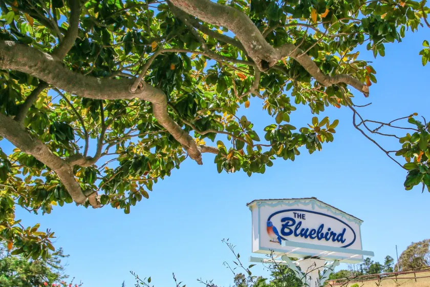 Bluebird Inn - Image 1