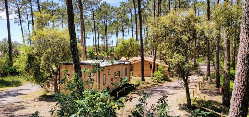 Green Resort - Image 1