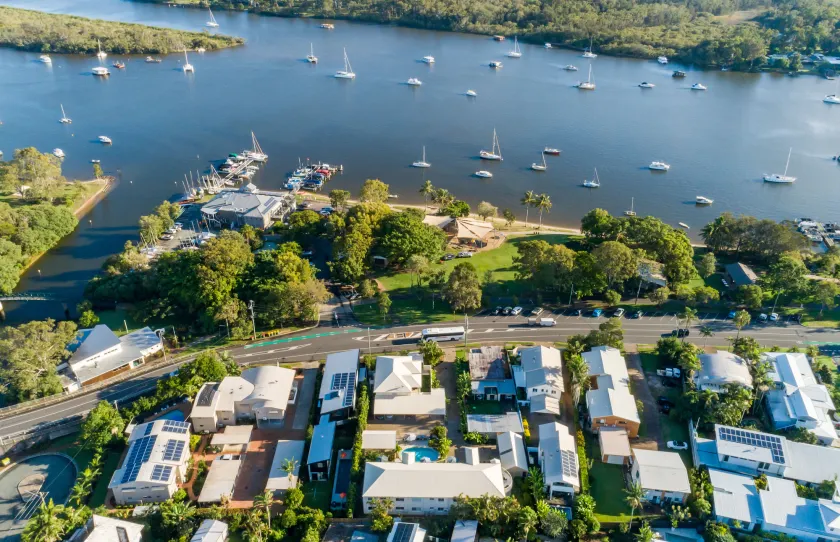 Noosa River Palms - Image 1