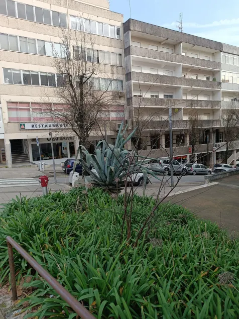 Residencial S. Gião - Image 1