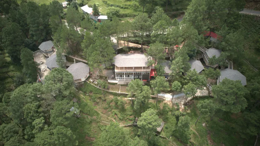 The Woods Retreat - Image 1