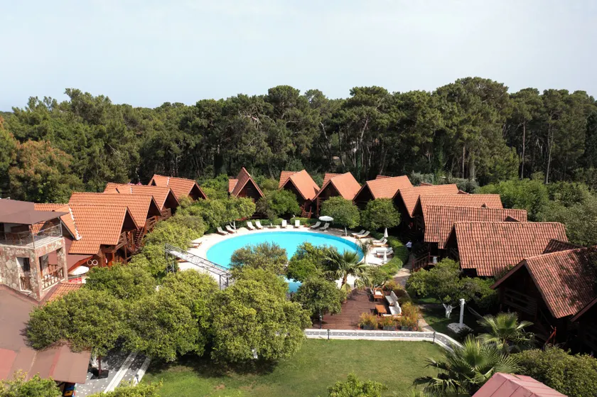 Woodline Hotel - Image 1
