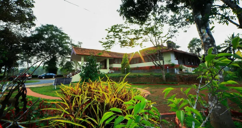 Bungalow With Tea Garden View - Image 1