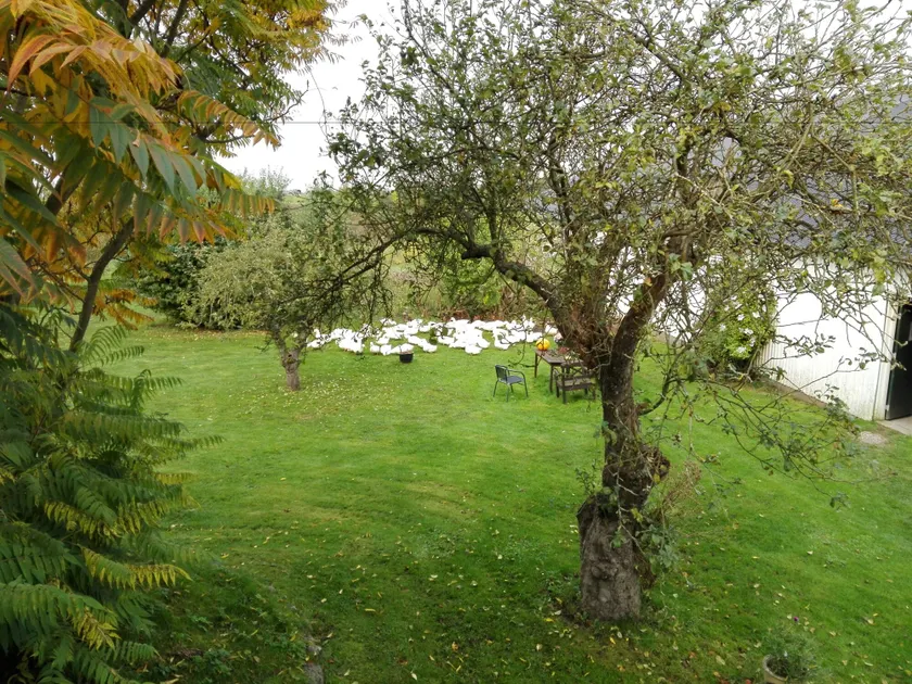 Møn Økologisk B&B - Image 1