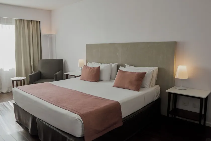 Dazzler Recoleta - Image 1