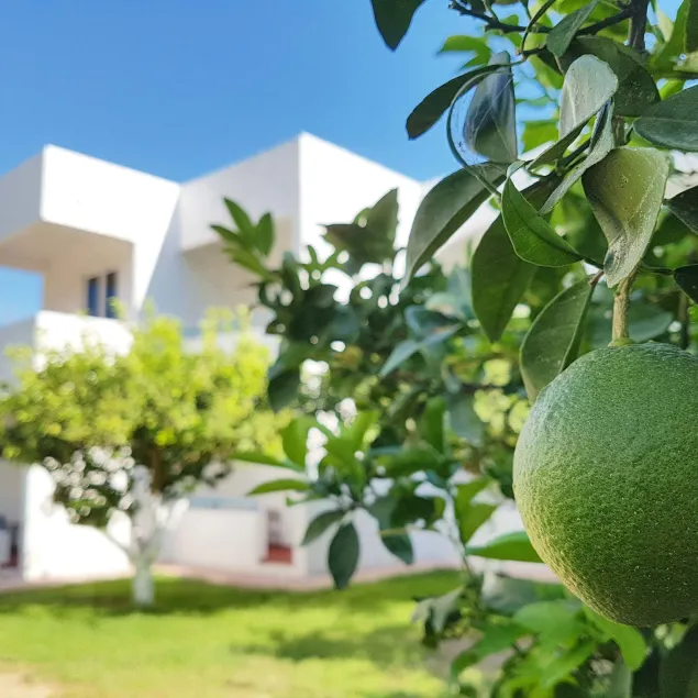 Ladikos Garden - Image 1