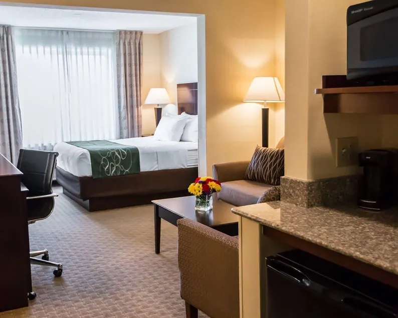 Comfort Suites University Area Notre Dame-South Bend - Image 1