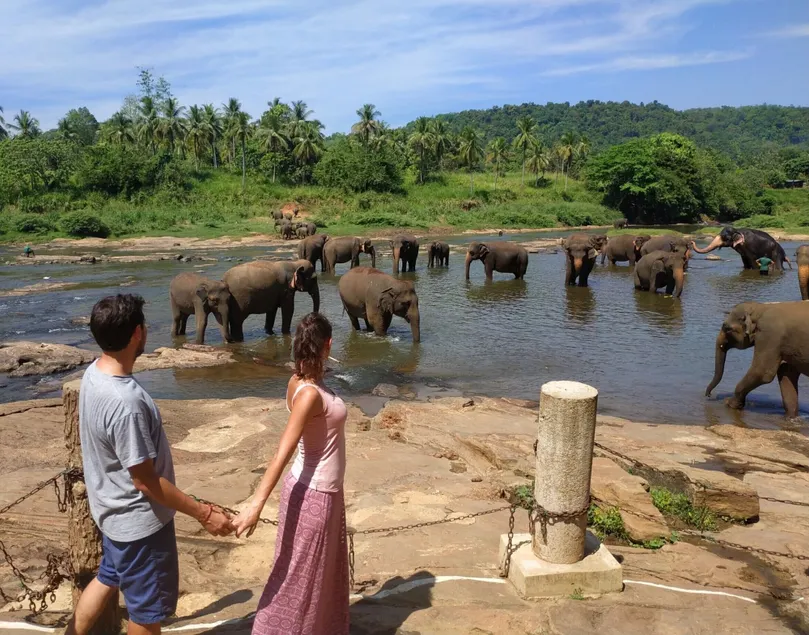 Hotel Elephant Park - NEW DEAL! Exclusive Offers on Pickups Available! - Image 1