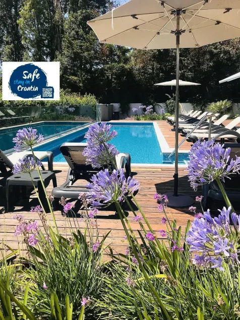 Oasis Life - Image 1