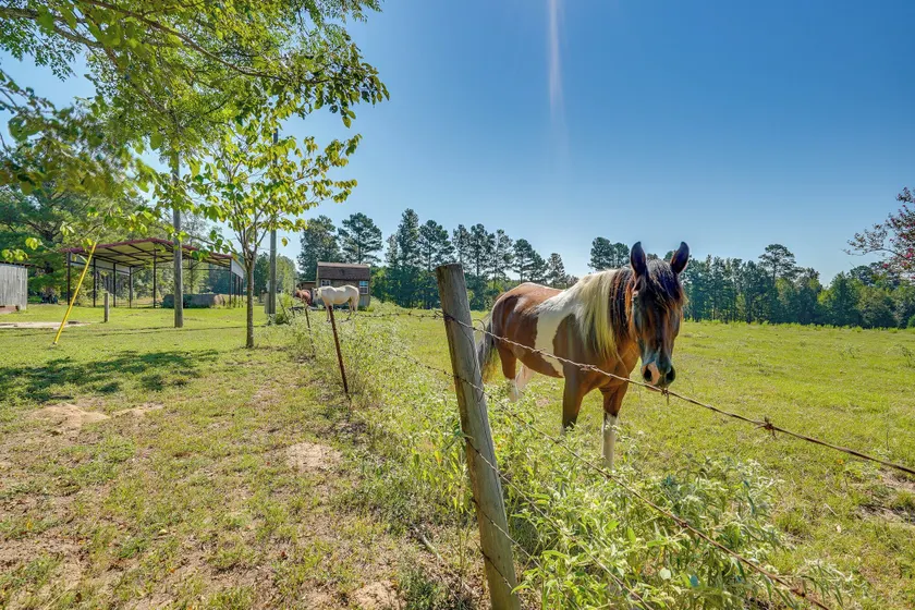 Peaceful Haynesville Vacation Rental w/ Yard! - Interiør