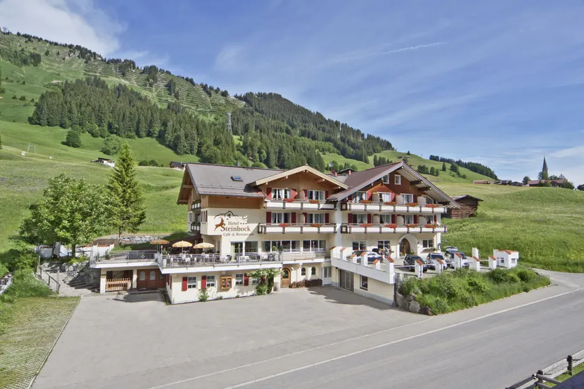 Hotel Steinbock - Image 1