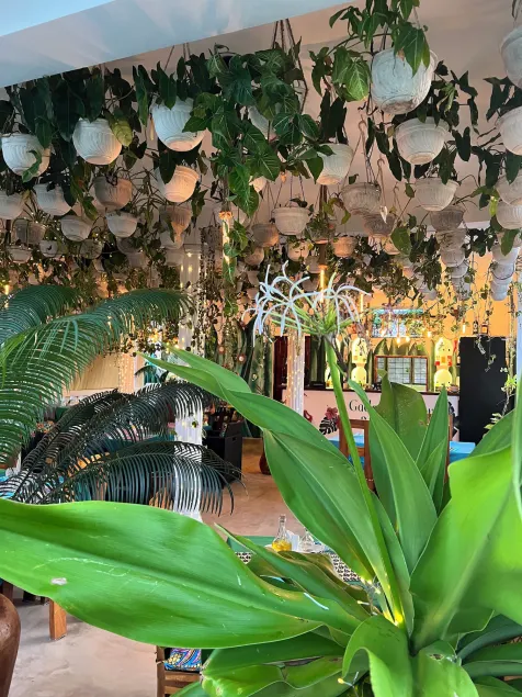 Gadea Boutique Hotel& Gadea Garden Italian Restaurant - Image 1