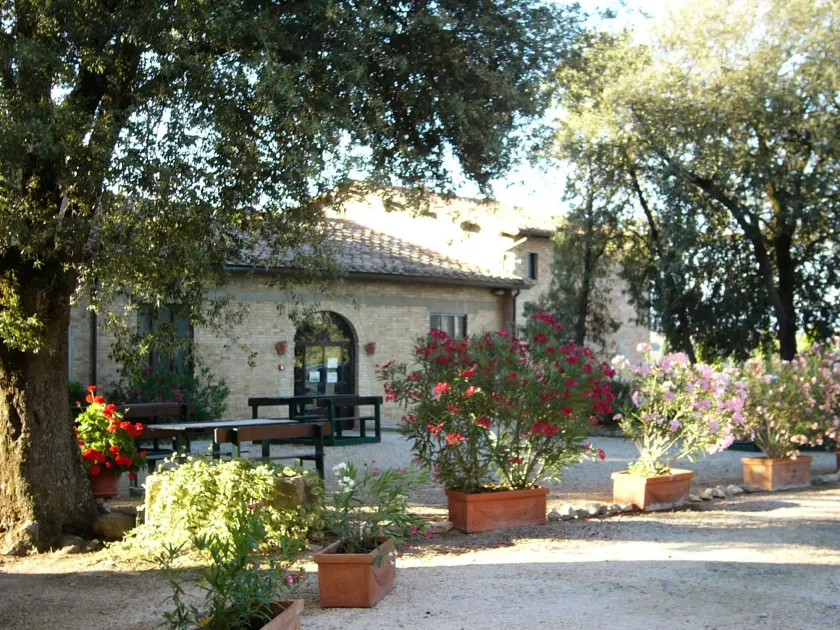Fattoria Pieve a Salti - Image 1