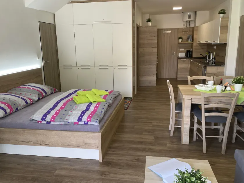 Apartment WELLNESS Vlčková - Image 1