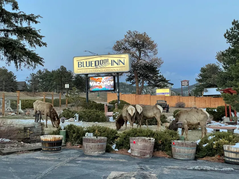 Blue Door Inn - Image 1