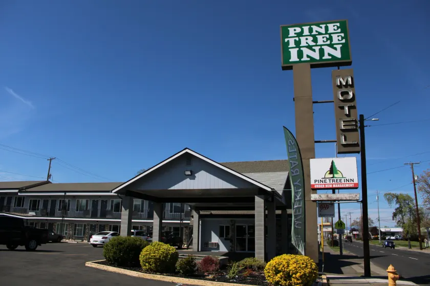 Pine Tree inn - Image 1