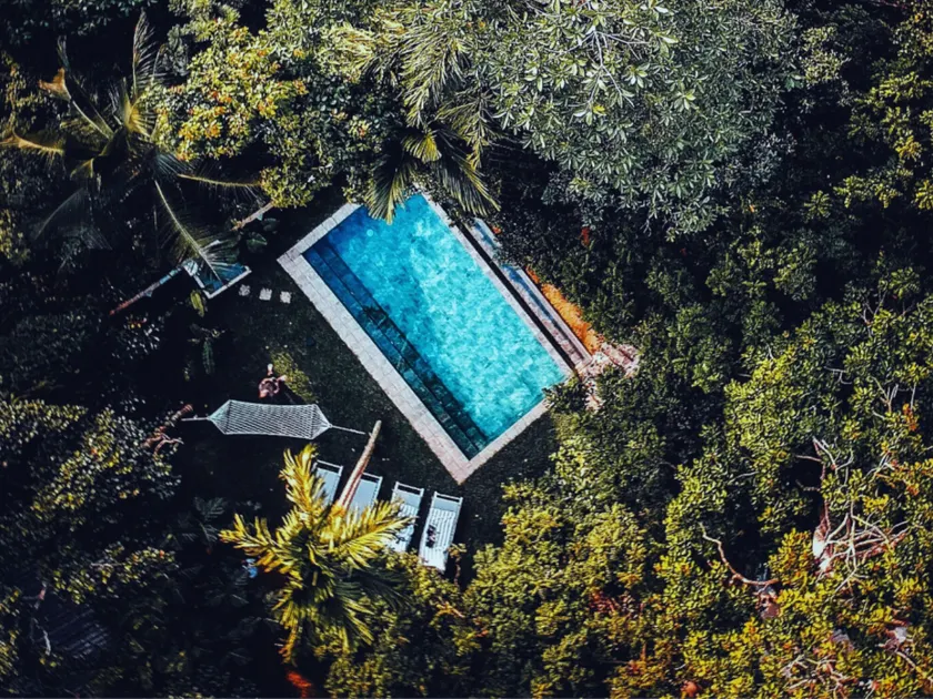 Ceylon Olive Galle - Image 1