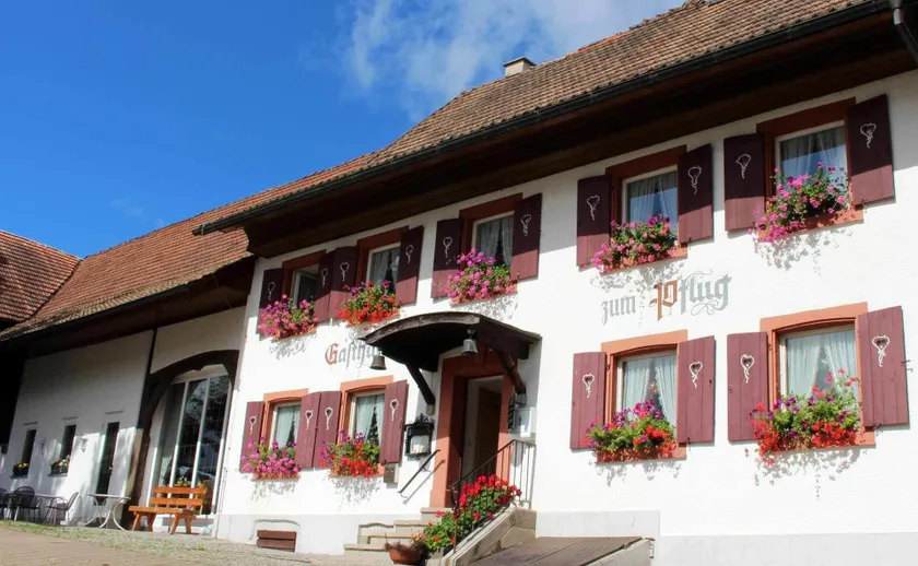 Hotel Landgasthof zum Pflug - Image 1