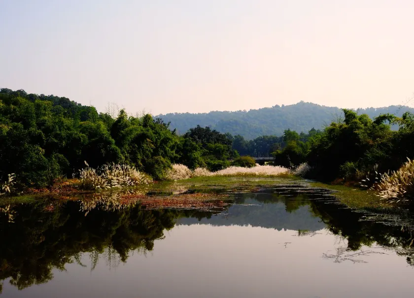 The Tiger Valley Resort - Image 1