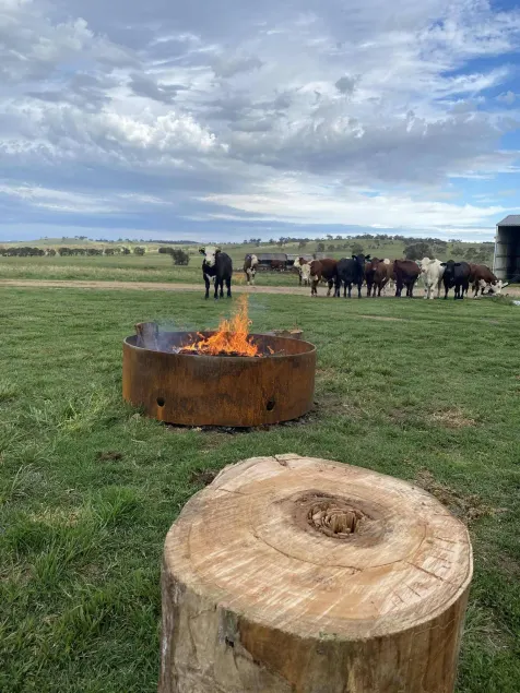 Luxury Farm Retreat Yarrimbah Shear Shed Farmstay CREEK WILDLIFE FIRE STARS - Image 1