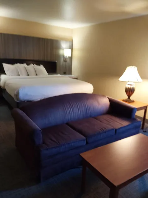 Lavissh Inn and Suites - Image 1