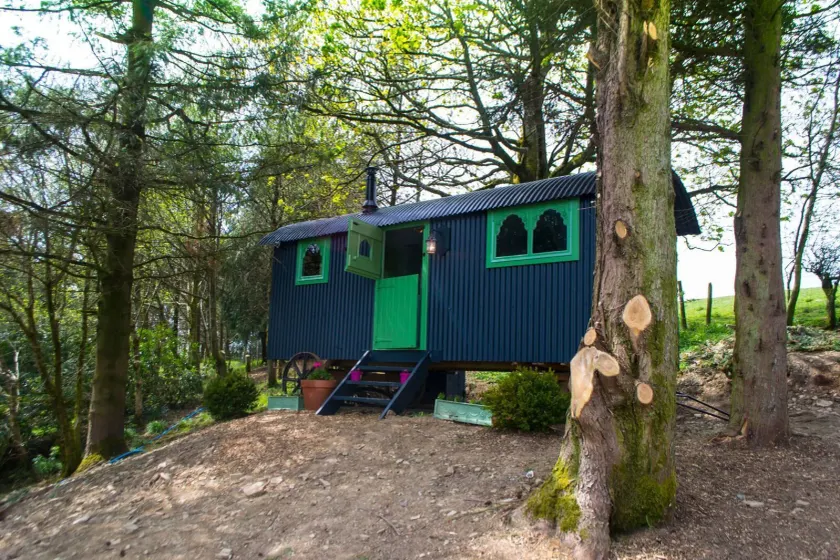Llethrau Forest & Nature Retreats - Image 1