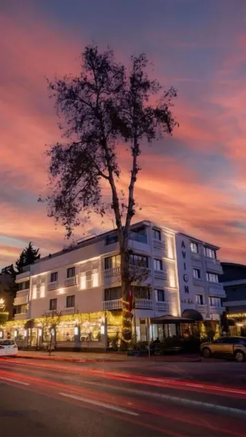 Avion Suite Hotel - Image 1