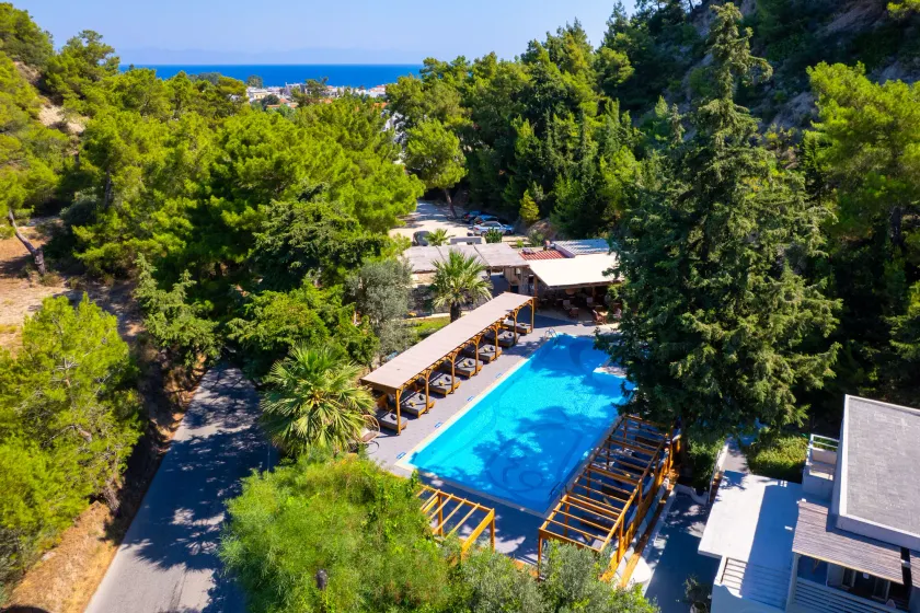Casa Trees Boutique Hotel - Image 1