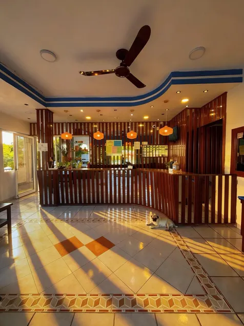 HOTEL CIELO MAYA - Resepsjon