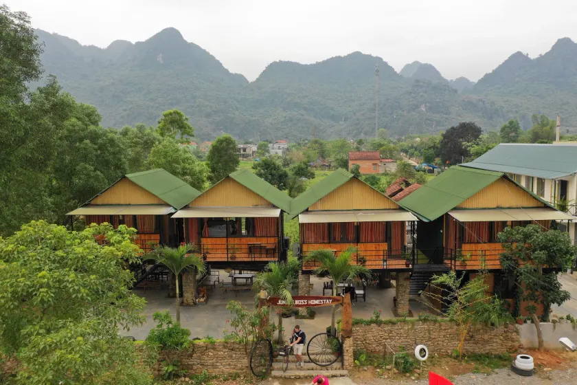 Jungle Boss Homestay - Image 1