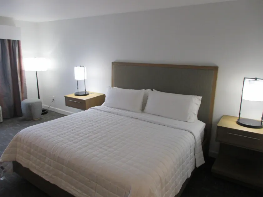 Best Western Premier Houston Downtown/Convention Center Hotel - Image 1
