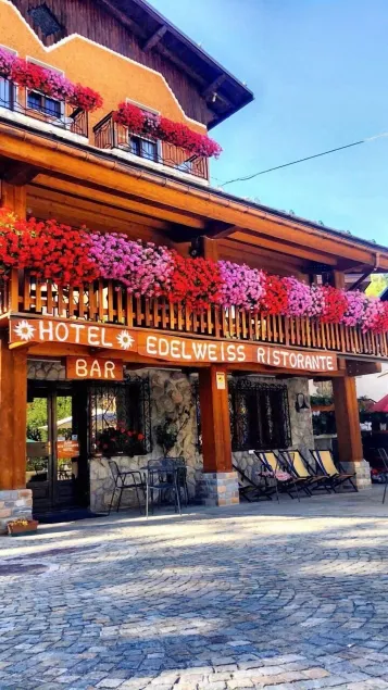 Hotel Edelweiss - Image 1