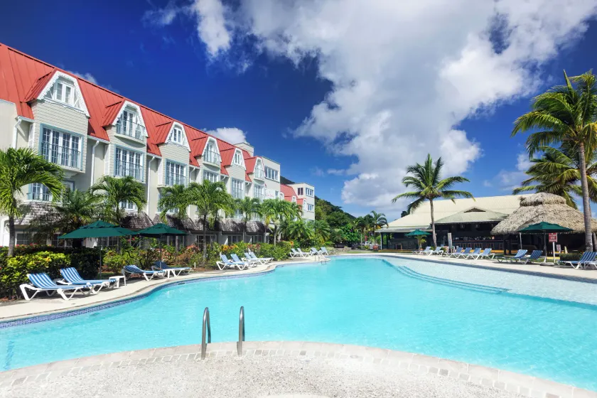 Coco Palm - Image 1