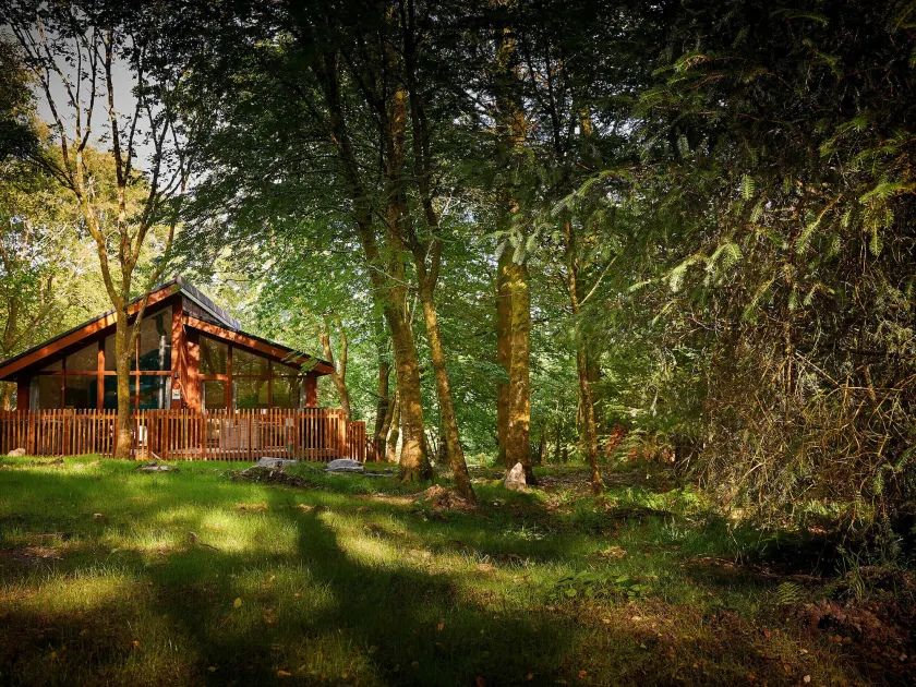 Beddgelert Cabins, Snowdonia - Forest Holidays - Image 1