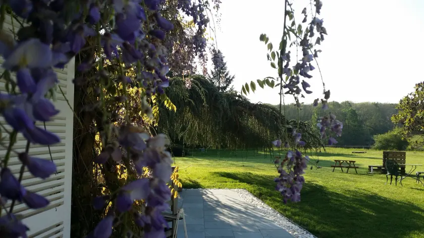Chambres d'hotes Maison Prairie Bonheur - Image 1