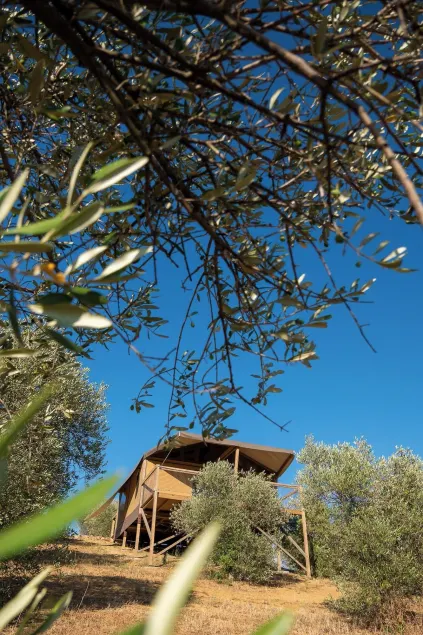 Glamping Podere San Jacopo - Image 1