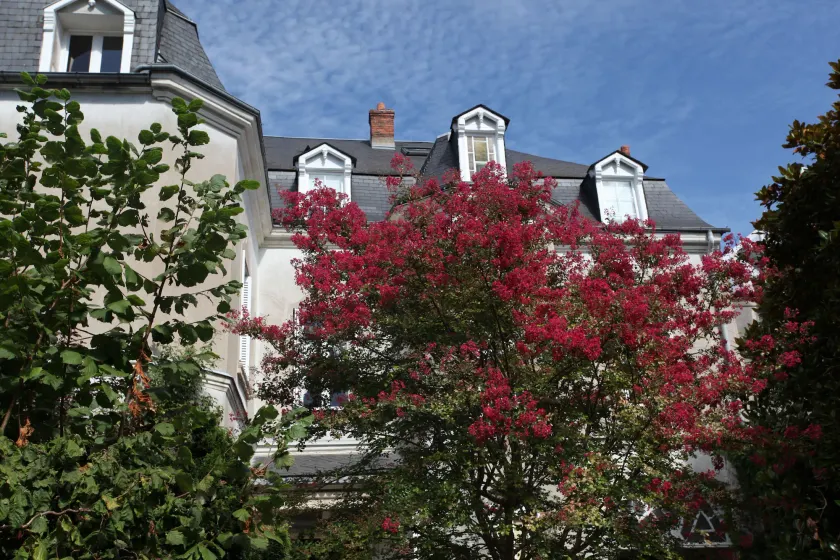 La Maison Jules - Image 1