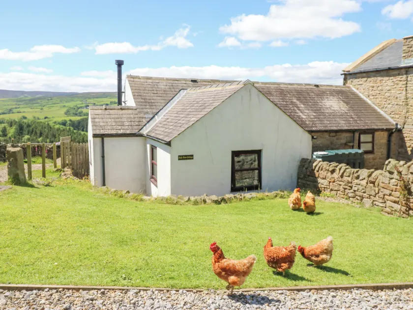 Dale View Cottage - Image 1