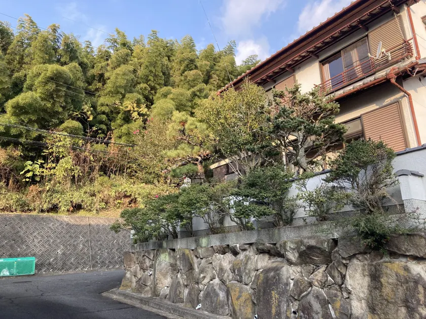 Piano Guest House - Image 1