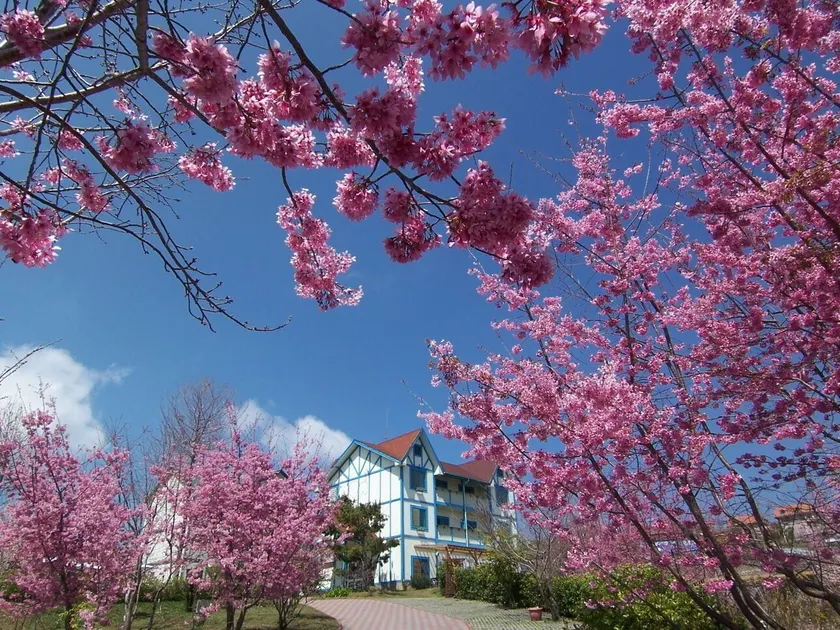 清境 百里莊園 Baili Manor Cing Jing - Image 1